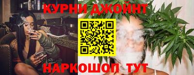 гидропоника Бийск
