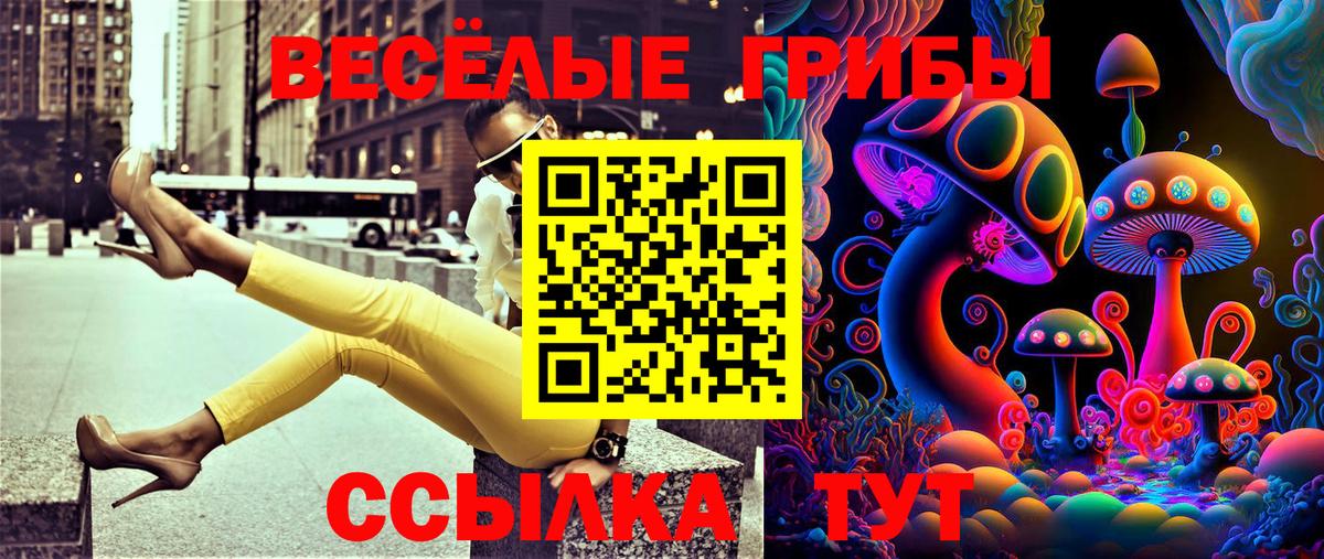 Кемерово  Псилоцибиновые грибы MAGIC MUSHROOMS  Вход с VPN 